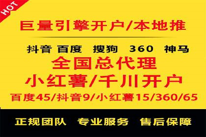 百度竞价排名服务：成功案例解析
